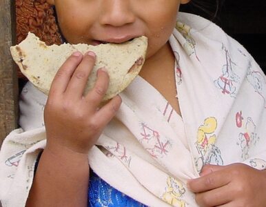 Miniatura: Indie: 20 dzieci zmarło po... zjedzeniu...