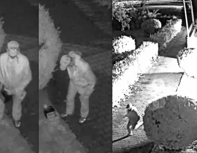 Miniatura: Antyszczepionkowa akcja w Zamościu....