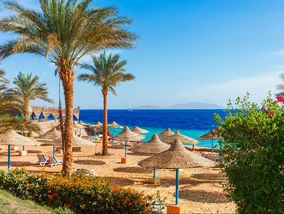 Miniatura: Egipt all inclusive na styczniowe mrozy....