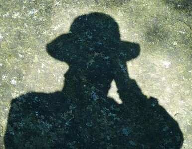 Miniatura: "Wywiady Rosji i Chin działają w Polsce"