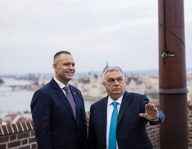 Miniatura: Polacy źle życzą Orbanowi. Sondaż nie...