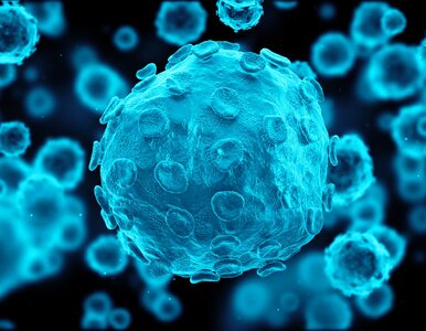 Herpes – co powoduje wirus?