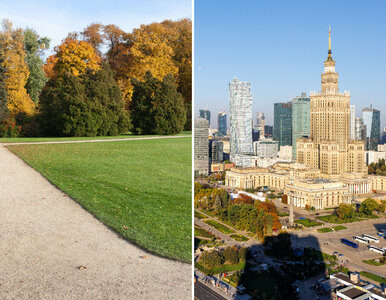 Miniatura: Piękna, zielona i darmowa. Nowa atrakcja w...