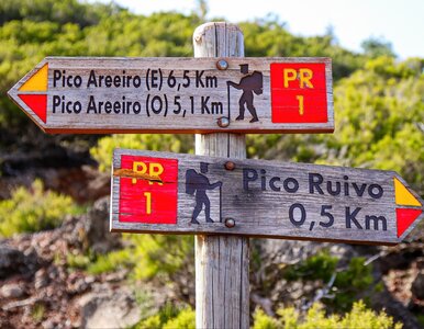 Miniatura: Przestraszony turysta wezwał ratowników....