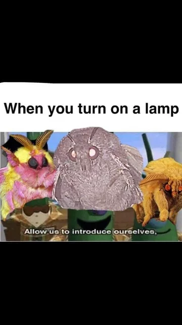 Mem z ćmą 