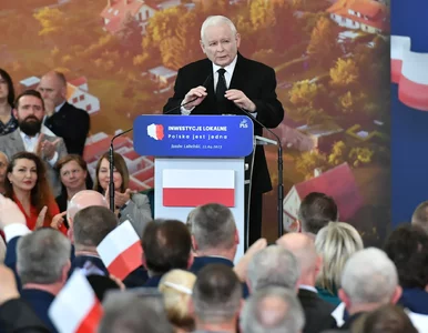 Miniatura: PiS odjeżdża opozycji. „Konkret...