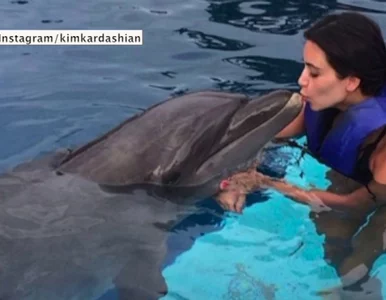 Miniatura: Za co oberwało się od PETY Kim Kardashian?