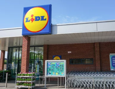 Miniatura: Lidl dla narciarzy. Sportowe produkty w...