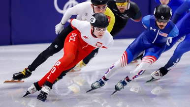 Miniatura: Felix Pigeon walczy o sukces na...