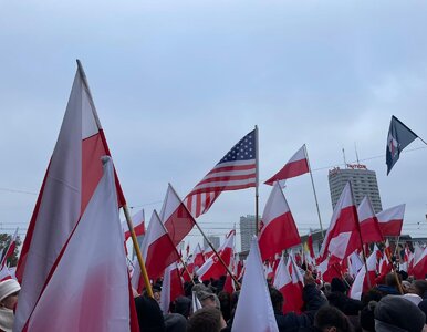 Miniatura: Polacy i Ukraińcy liderami niechlubnego...