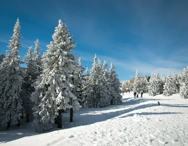 Miniatura: To uzdrowisko w Karkonoszach jest idealne...