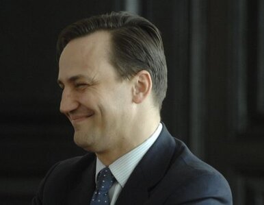 Miniatura: Sikorski: Bronku, jestem do twojej dyspozycji