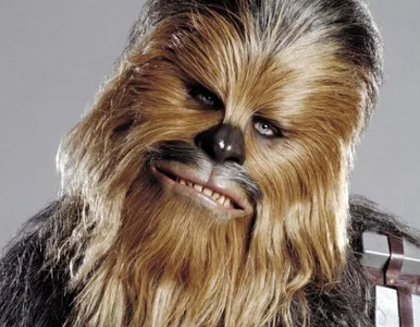 Miniatura: Chewbacca zatrzymany przez... miecz świetlny