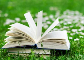 Miniatura: Łatwy quiz z polskich przysłów. Wymagamy 100%