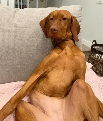 Sophie 