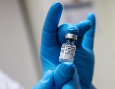 Miniatura: Pierwsza dostawa szczepionek Moderny już...