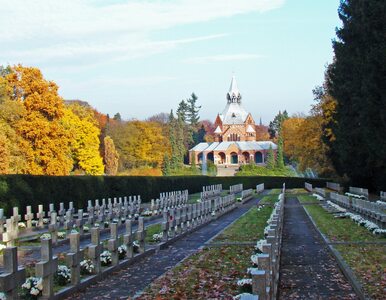 Miniatura: Na tym cmentarzu są specjalne szlaki dla...