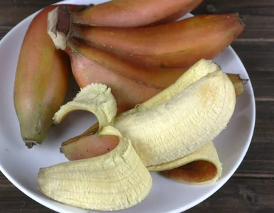 Miniatura: Te banany omijamy w sklepie. A lepiej...