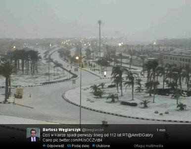 Miniatura: W Kairze spadł śnieg. Pierwszy od 112 lat