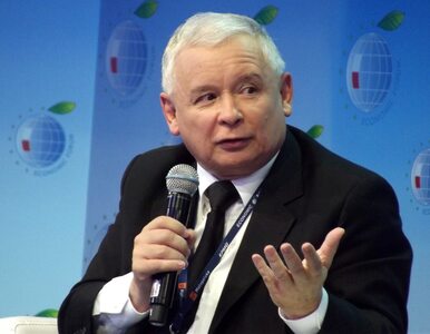 Miniatura: Kaczyński: Nie mam wątpliwości co do tego,...