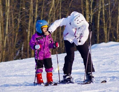 Miniatura: Narty w Polsce i Alpach w podobnej cenie....