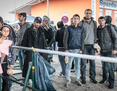 Miniatura: Rząd w Berlinie wiedział o nadciągającej...