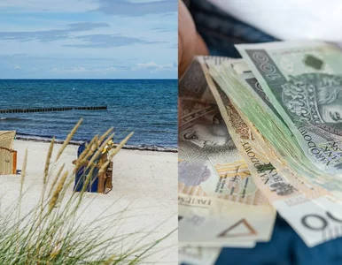 Miniatura: Wczasy pod gruszą w 2024 roku. Ile...