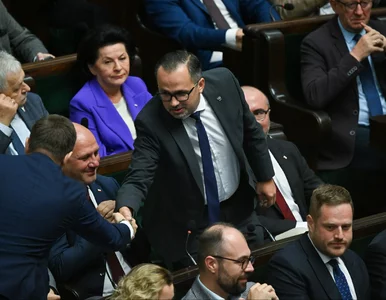 Miniatura: Koalicja rządząca rozegrała PiS i Rozwój...
