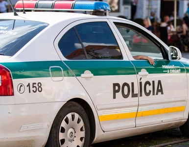 Miniatura: Akcja służb na Słowacji. Wydalono trzech...