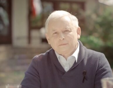 Miniatura: Blogerka modowa: Kaczyński nie potrzebuje...
