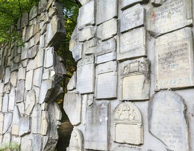 Miniatura: Polska ściana płaczu przyciąga turystów....