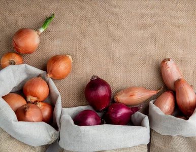 Miniatura: Posadź właściwą dymkę w marcu. Jedna daje...