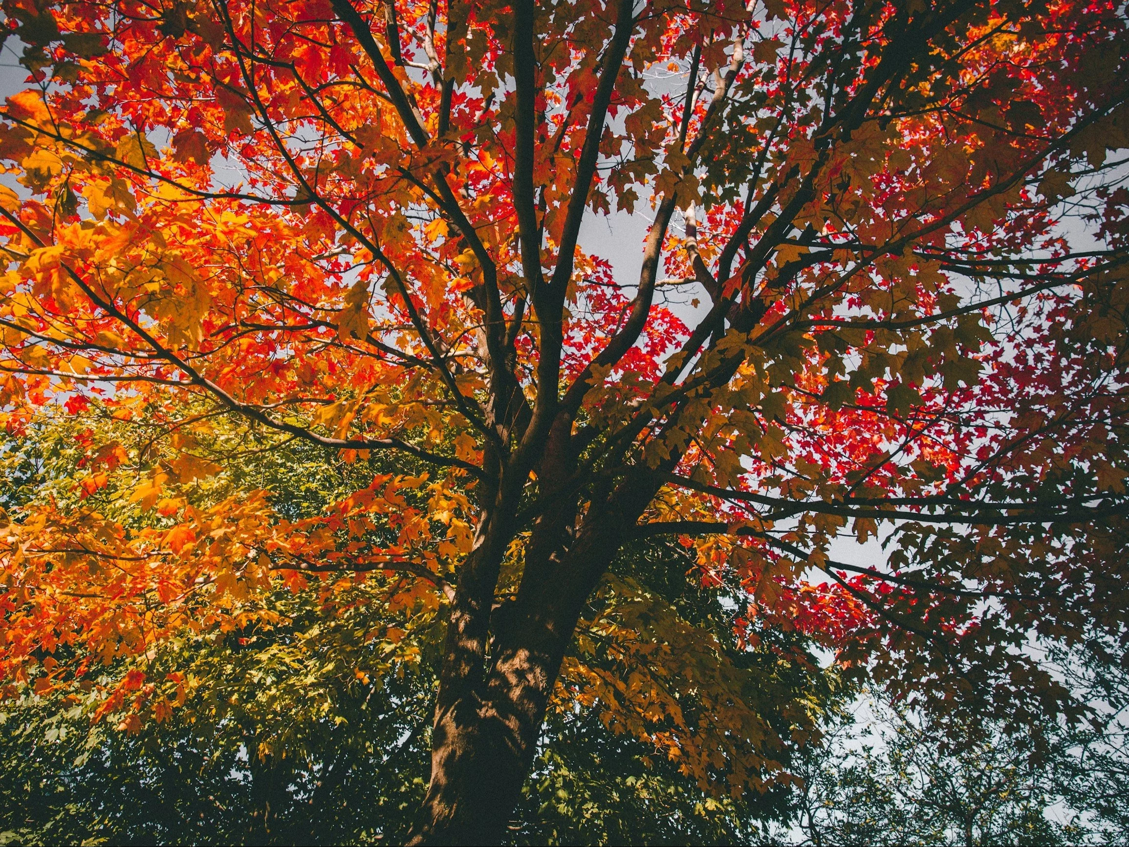 10 pytań z wiedzy ogólnej. Spróbujesz swoich sił?
