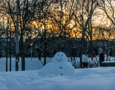 Miniatura: Prognoza na Święta Bożego Narodzenia....