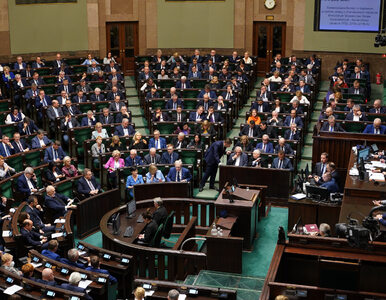 Miniatura: Sejm przyjął budżet na 2023 rok
