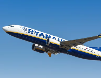 Miniatura: Ryanair uruchomił kolejną wyprzedaż. Tym...