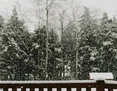 Miniatura: Prognoza na sylwestra i Nowy Rok. Synoptyk...