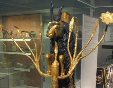 Miniatura: Archeologiczna sensacja. Złote zwierzęta...