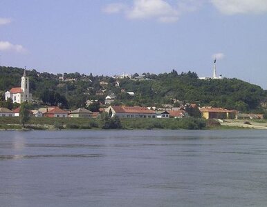 Miniatura: Niski poziom wody w Renie i Dunaju. Statki...