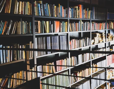 Miniatura: Quiz ortograficzny. Słowa na literę „k”