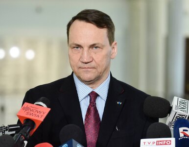 Miniatura: Radosław Sikorski „przewidział” wojnę na...