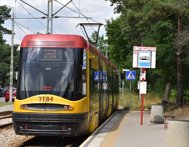 Miniatura: Tramwajem do lasu w Warszawie. Dojedziesz...