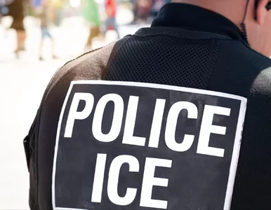 Miniatura: ICE zatrzymuje Polaków w USA. „Nienawidzę...