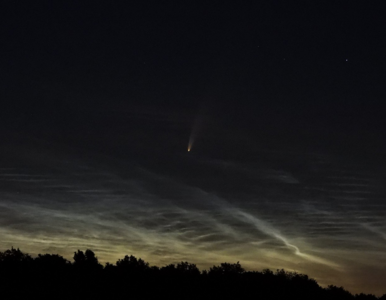 Miniatura: Warto spojrzeć w niebo. Kometa NEOWISE...