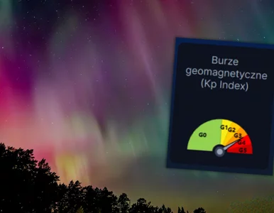 Miniatura: Zorza zachwyciła Polaków. Dziś także ją...