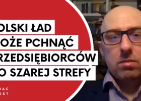 Miniatura: Łapiński: Polski Ład to nie jest program,...