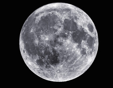 Pełnia Robaczego Księżyca. Pod koniec marca spójrzcie w niebo!
