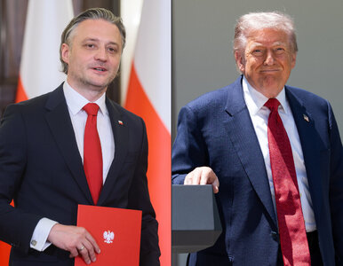 Miniatura: Polska reaguje na obiecującą deklarację...