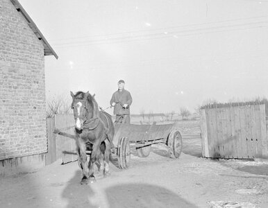 Miniatura: Wiejski QUIZ z wiedzy ogólnej. Mieszczuchy...