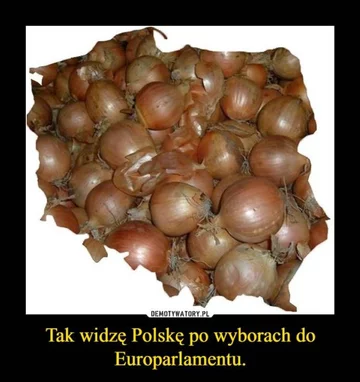 Mem po wyborach do PE 